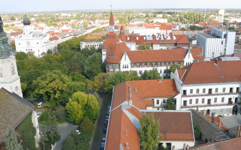 Társasházkezelés, közös képviseleti tevékenység